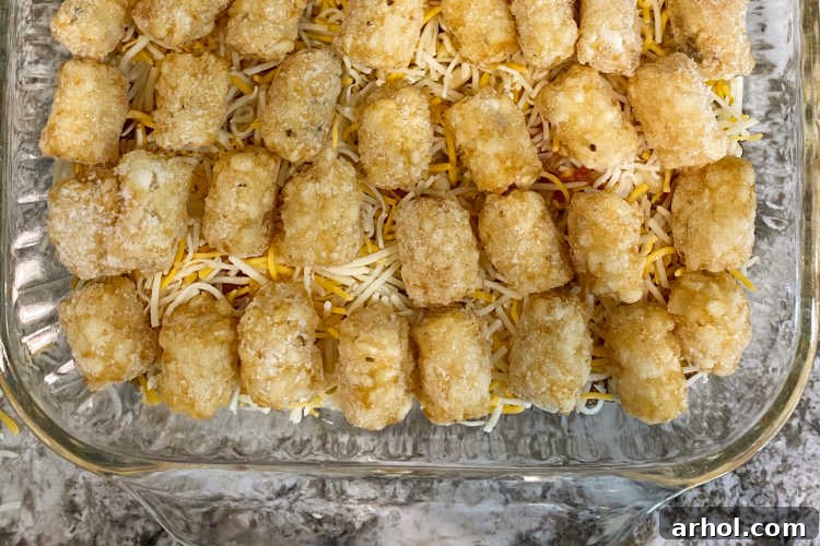 tater tots over mexican blend shredded cheese in a baking dish