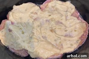 pork chops with cream of celery soup in slow cooker