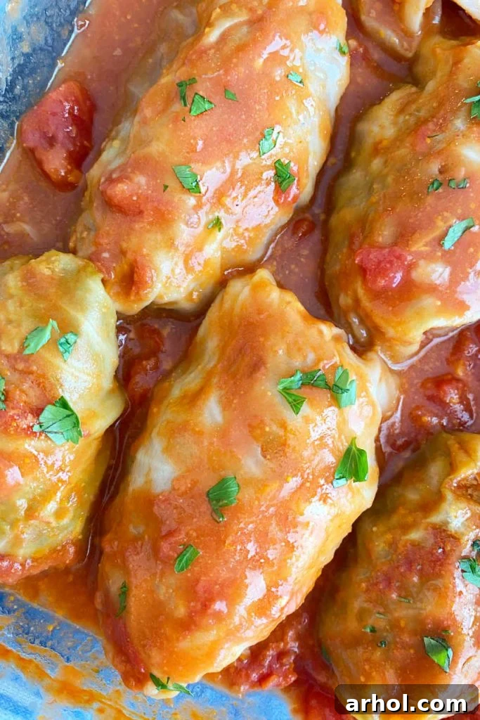 baked stuffed cabbage rolls in tomato sauce in pan, golden brown and bubbling.
