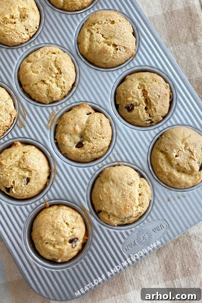 Freshly baked banana muffins with chocolate chips cooling in a muffin tin