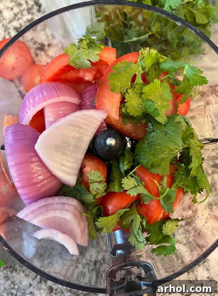salsa fresca ingredients in blender