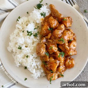 A serving of Bourbon Street chicken with rice and fresh herbs on a plate.