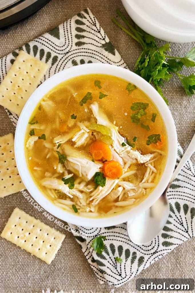 A cozy bowl of homemade pressure cooker chicken soup, brimming with tender chicken, carrots, and fresh parsley, ready to be enjoyed.