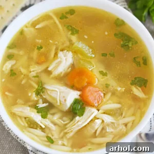 bowl of homemade instant pot rotisserie chicken soup and crackers