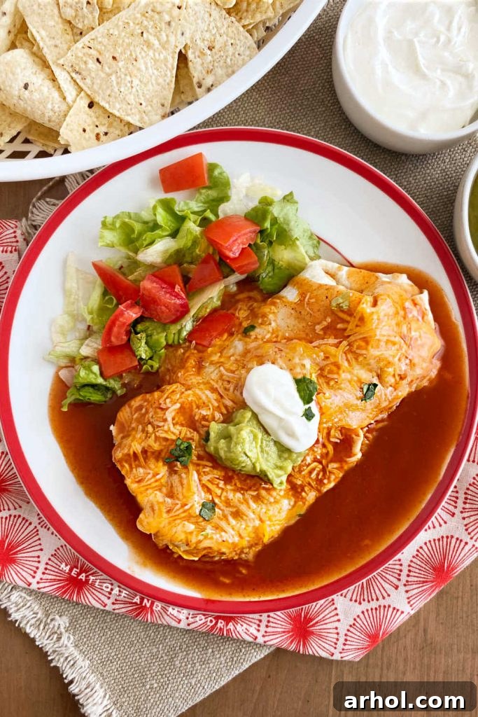 A single wet burrito, enchilada style, topped with red sauce, fresh shredded lettuce, and diced tomatoes, served on a white plate.