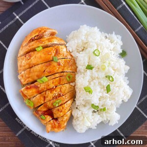 baked teriyaki chicken breast with green onions and white rice on grey plate