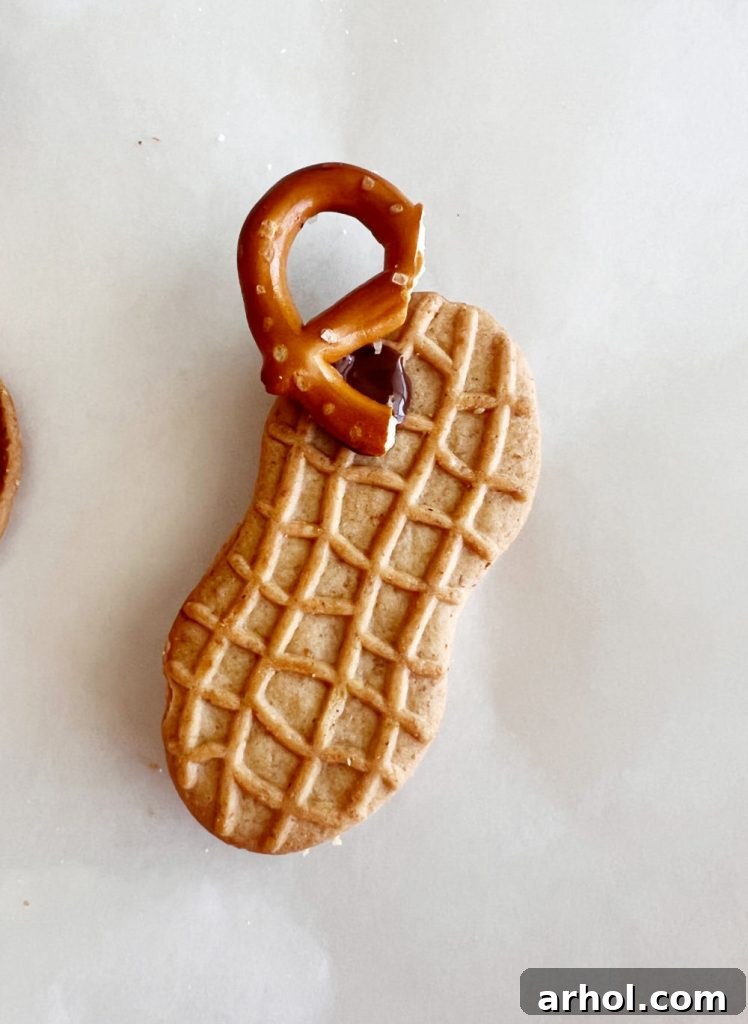 pretzel twist on peanut butter sandwich cookie