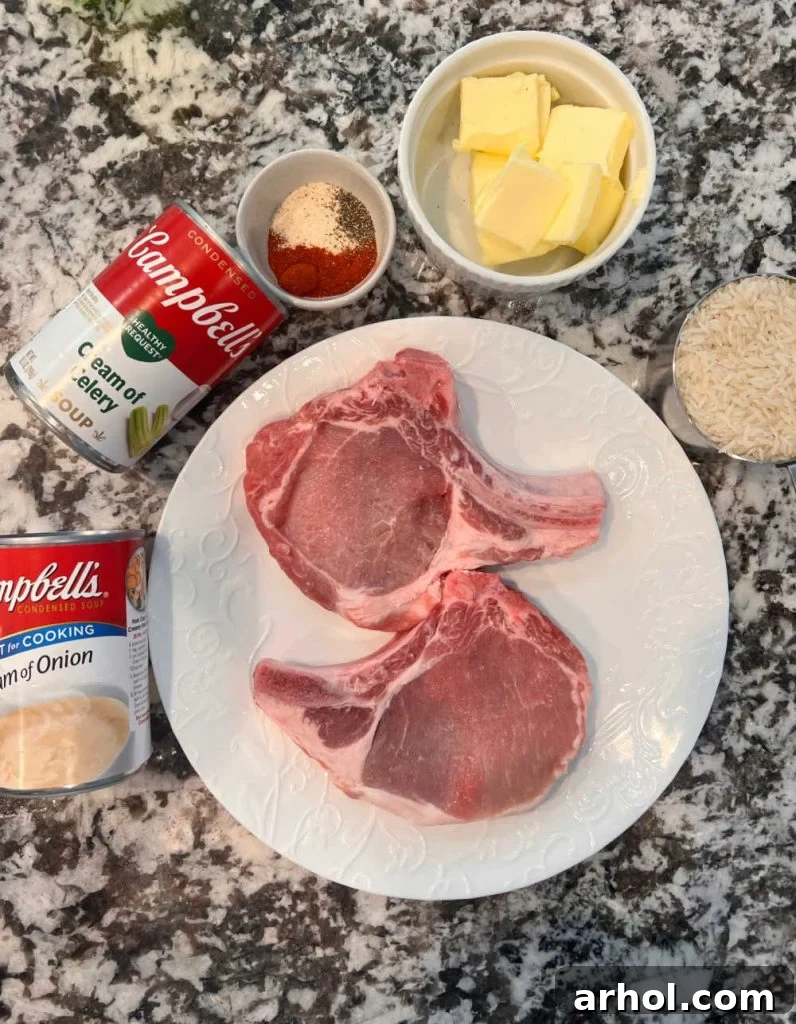 Raw bone-in pork chops, a stick of butter, cans of cream of celery soup and cream of onion soup, jasmine rice, and various spices arranged on a kitchen counter, ready for preparation.