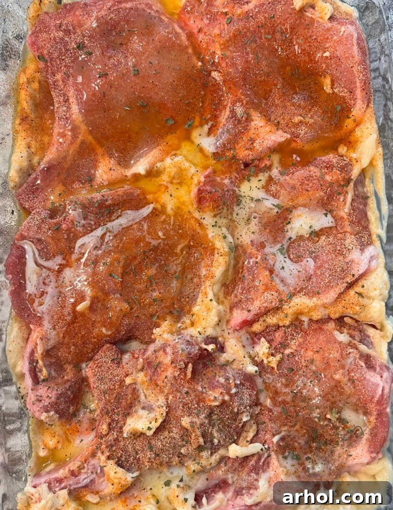 Bone-in pork chops laid in a single layer over the creamy rice mixture in a large baking dish, ready for the oven.