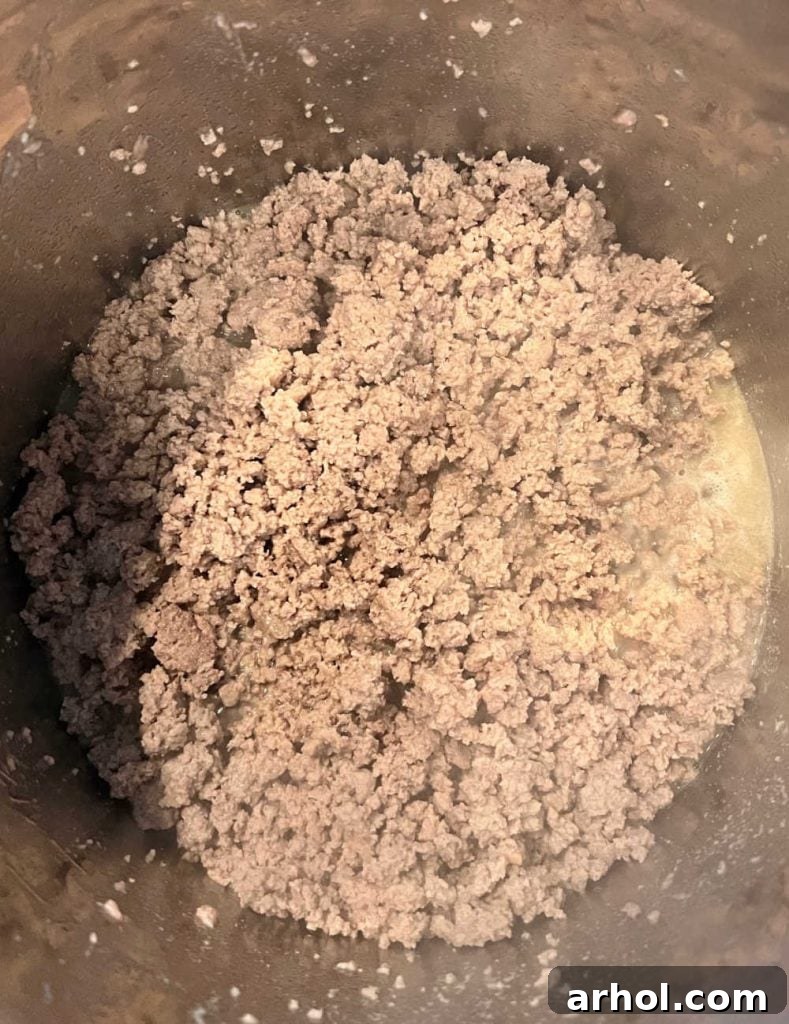 Wholesome Canine Meals Made Simple with Instant Pot 4 cooked ground turkey in the instant pot pressure cooker