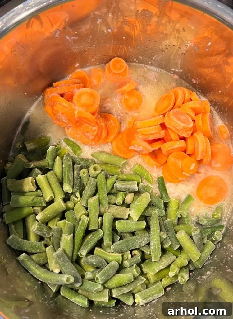 Wholesome Canine Meals Made Simple with Instant Pot 5 green beans, carrots, rice and turkey in instant pot
