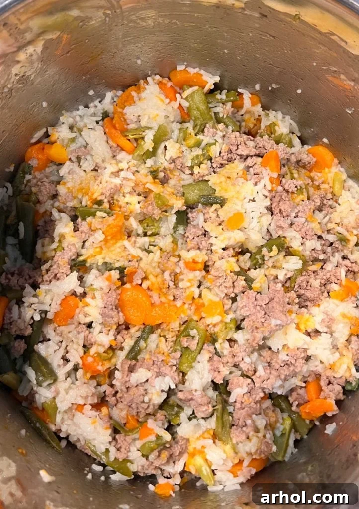 Wholesome Canine Meals Made Simple with Instant Pot 6 homemade dog food with turkey, rice, green beans and carrots in the instant pot