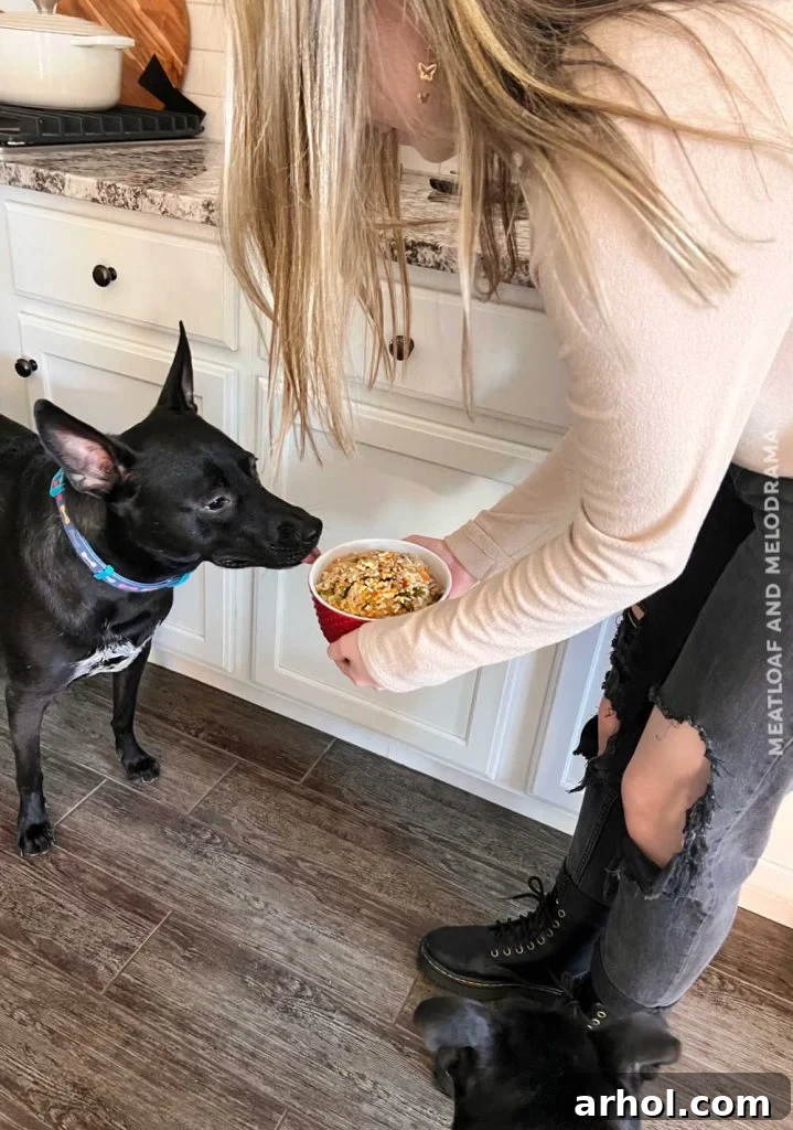 Wholesome Canine Meals Made Simple with Instant Pot 7 girl feeding homemade dog food to 2 black dogs
