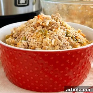 homemade instant pot dog food in a red bowl