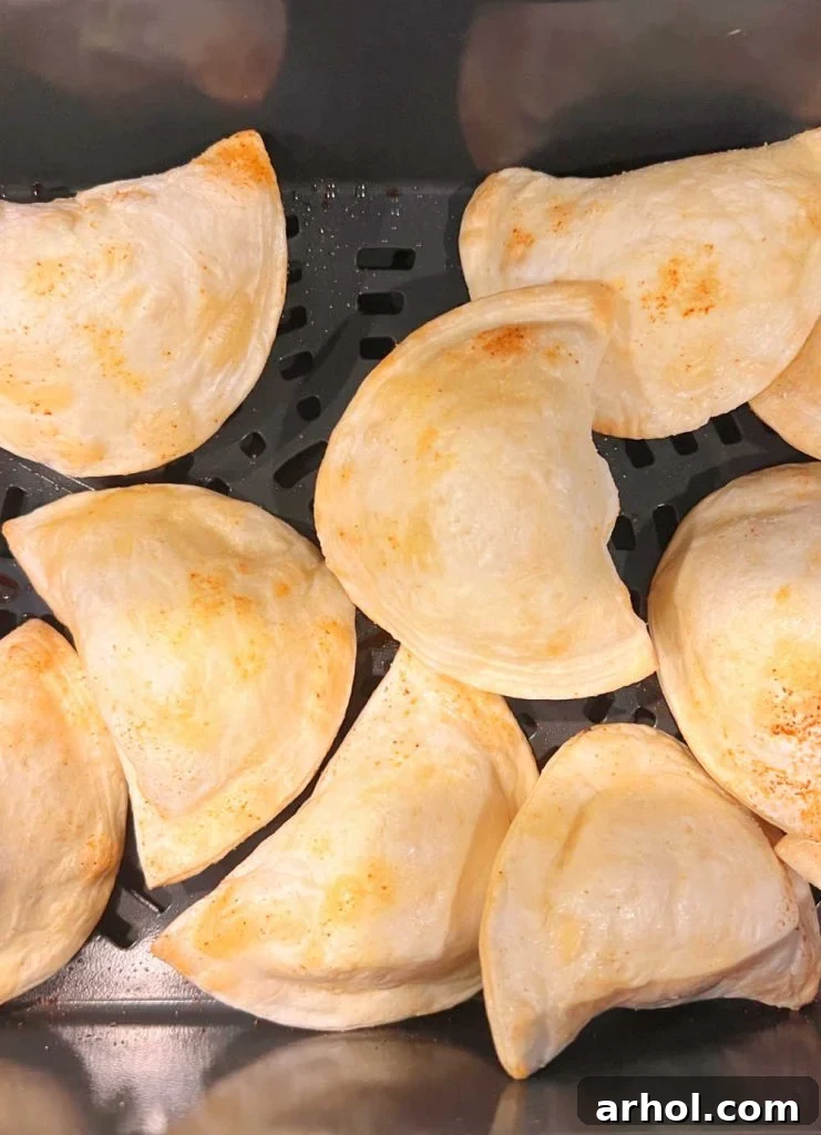 crispy pierogi in ninja foodi grill air fryer basket