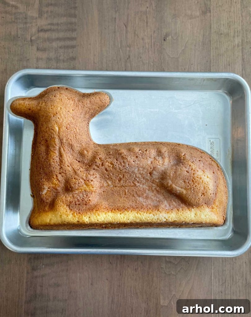 Irresistible Easter Lamb Cake 7 Freshly baked lamb cake, still in its bottom mold, resting on a baking sheet, showcasing its golden-brown crust
