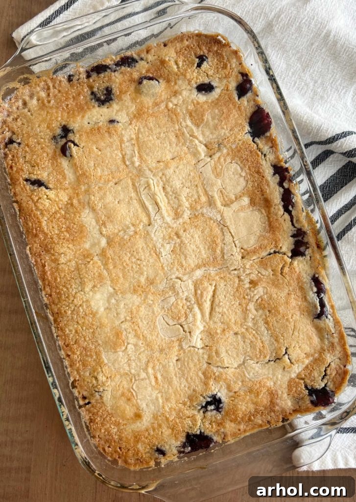 Freshly baked blueberry dump cake with a golden brown topping, sitting on a table, ready to be served.