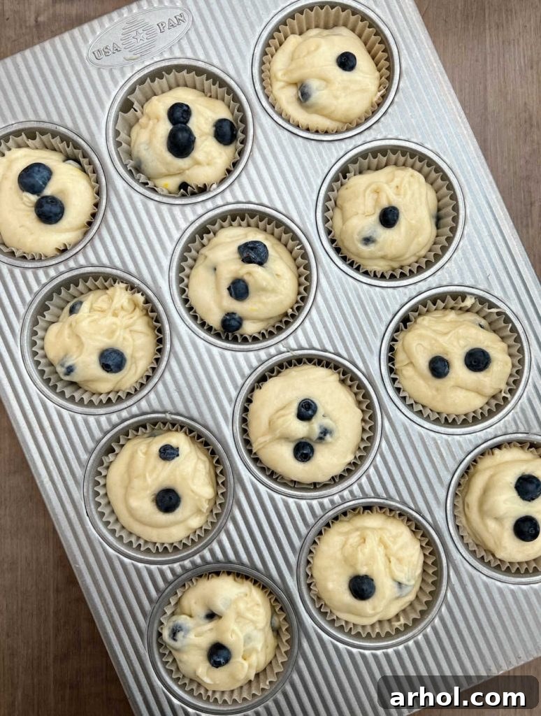 Muffins Ready for the Oven Muffin batter scooped into parchment paper cups within a muffin tin, topped with additional fresh blueberries, ready for baking