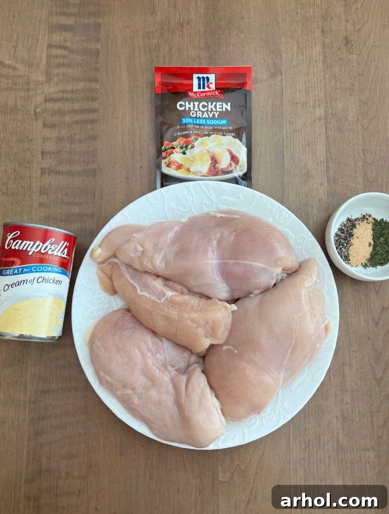 chicken breasts, cream of chicken soup, chicken gravy packet and seasonings