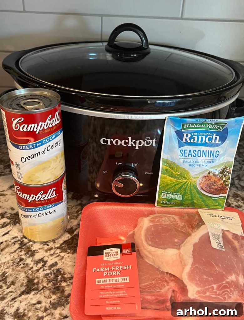 bone in pork chops, cream of chicken soup, cream of celery soup and ranch seasoning by slow cooker