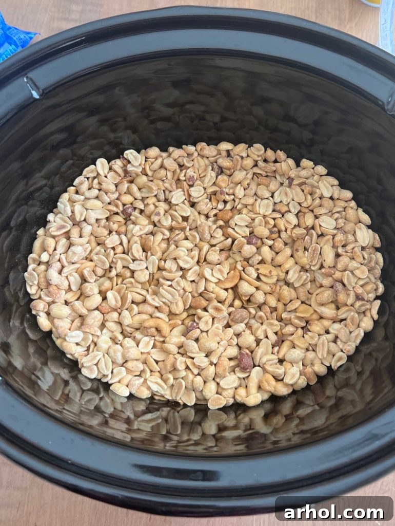Peanuts and cashews layered at the bottom of a crockpot, ready for chocolate.