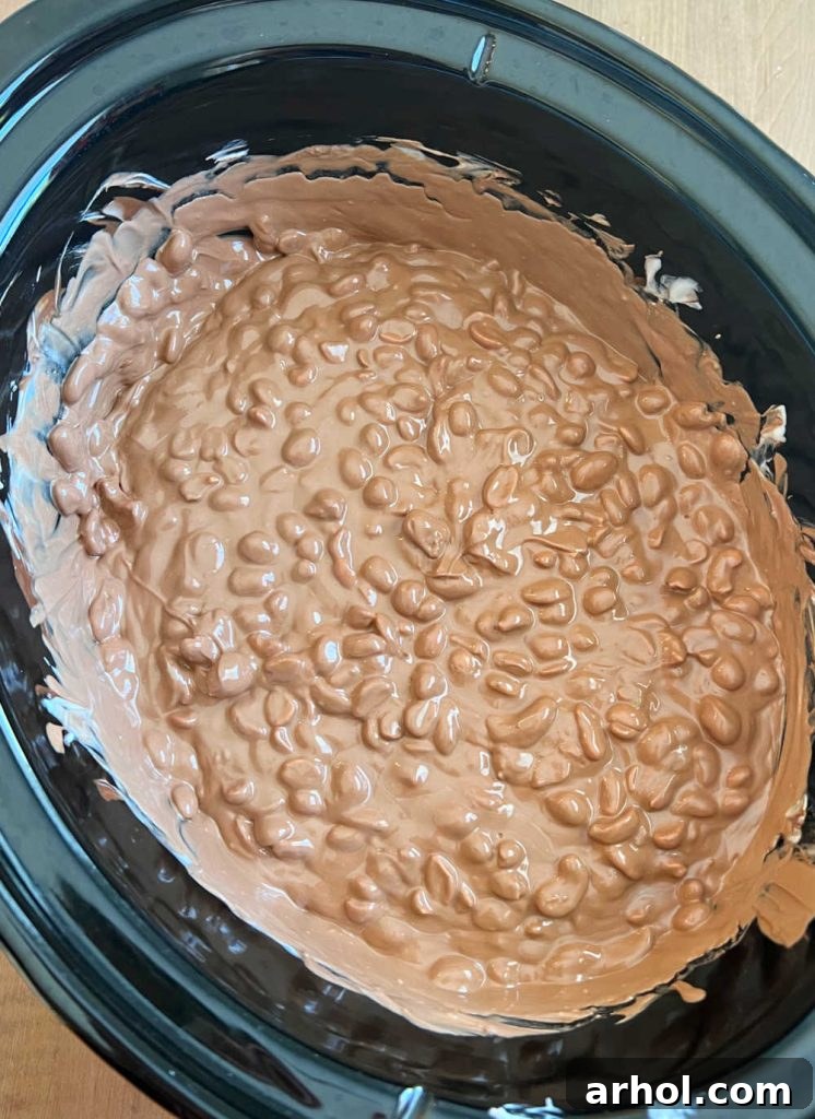 Perfectly melted chocolate and peanuts in the slow cooker, ready to be scooped.