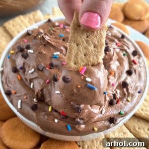 brownie batter dip with mini chocolate chips and sprinkles on graham cracker