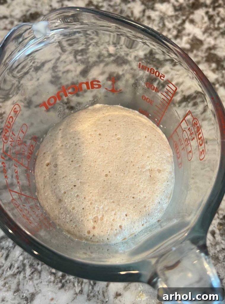 bloom yeast with milk in measuring cup