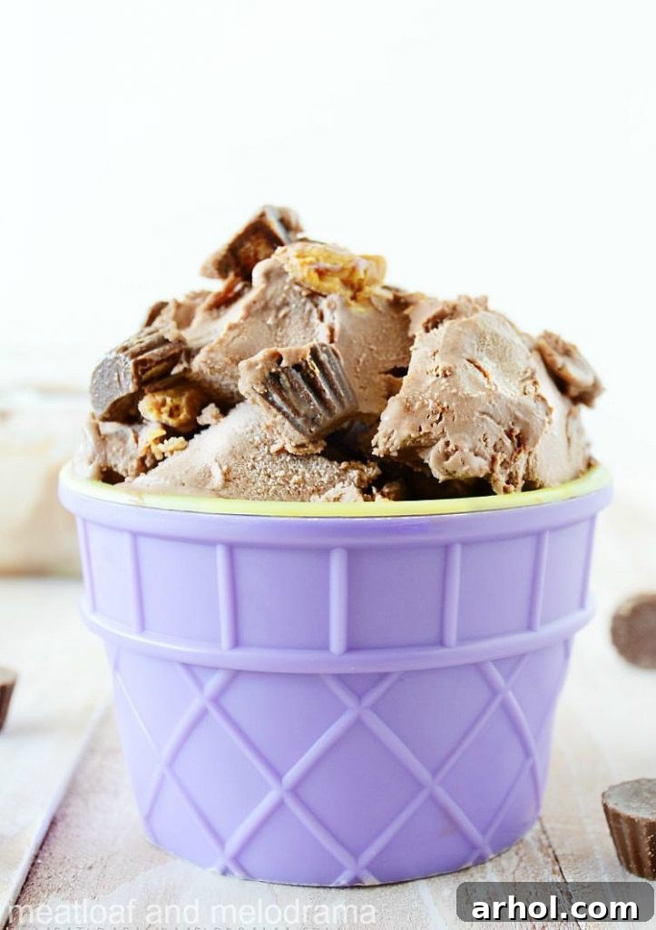 No-Churn Chocolate Peanut Butter Bliss 9 A scoop of no-churn chocolate peanut butter ice cream in a bowl, garnished with more mini chocolate peanut butter candies, showcasing its rich texture.