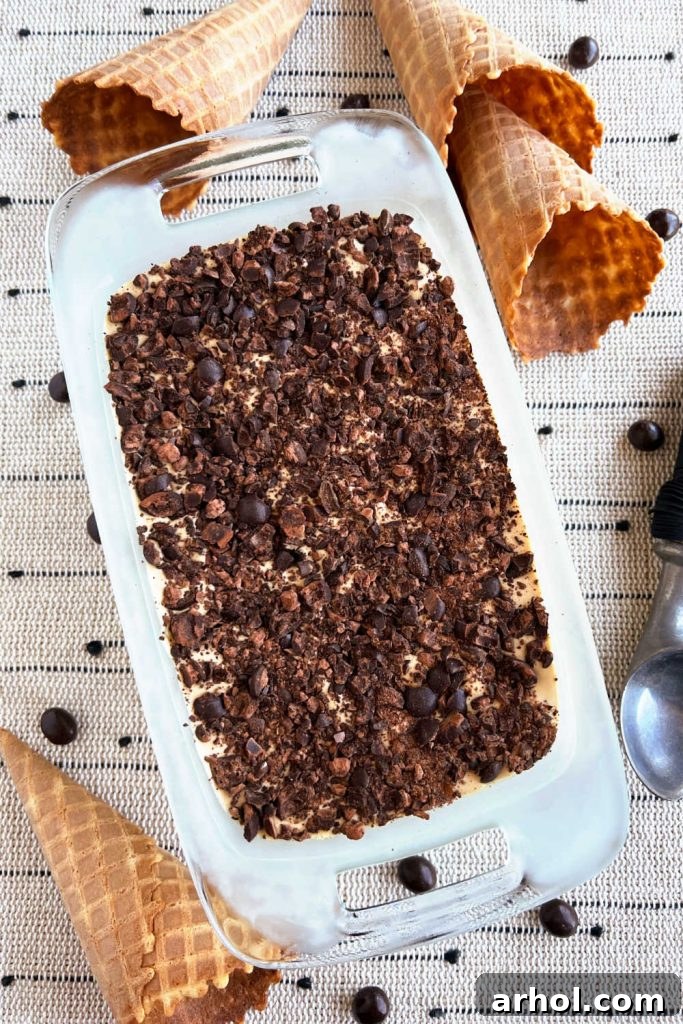 No churn coffee ice cream topped with crushed espresso beans in a loaf pan, ready for freezing.