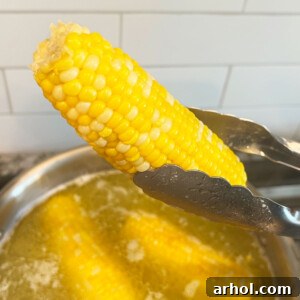 Kitchen tongs holding a perfectly boiled ear of corn over a pot of boiling water with melting butter, ready to be served as a delicious side dish.
