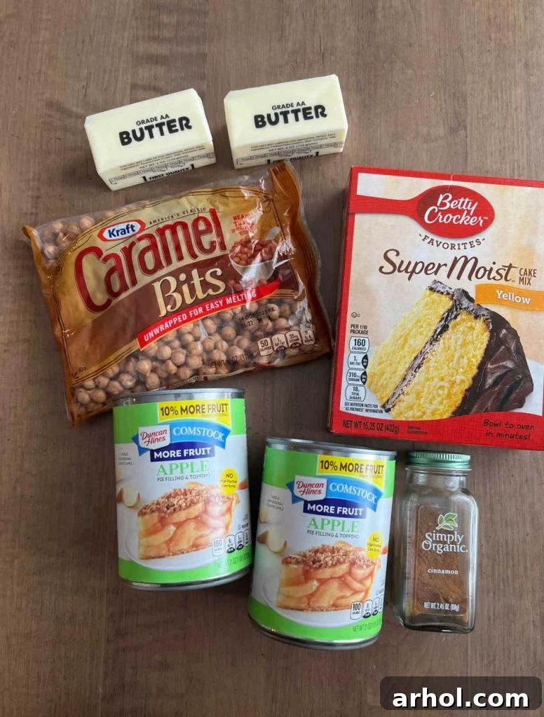 Effortless Caramel Apple Dump Cake 4 Ingredients for Caramel Apple Dump Cake: yellow cake mix, caramel bits, butter, apple pie filling, ground cinnamon.