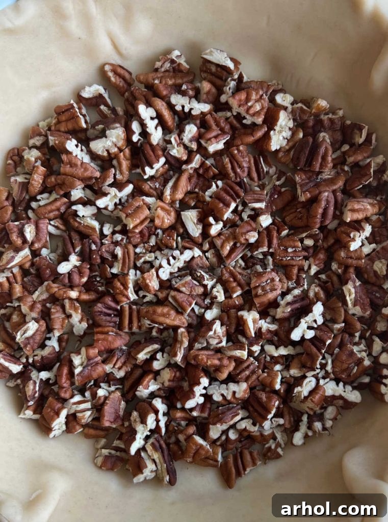 Finely chopped pecans evenly spread across the bottom of an unbaked pie shell, creating a rustic and flavorful base for the pie filling.