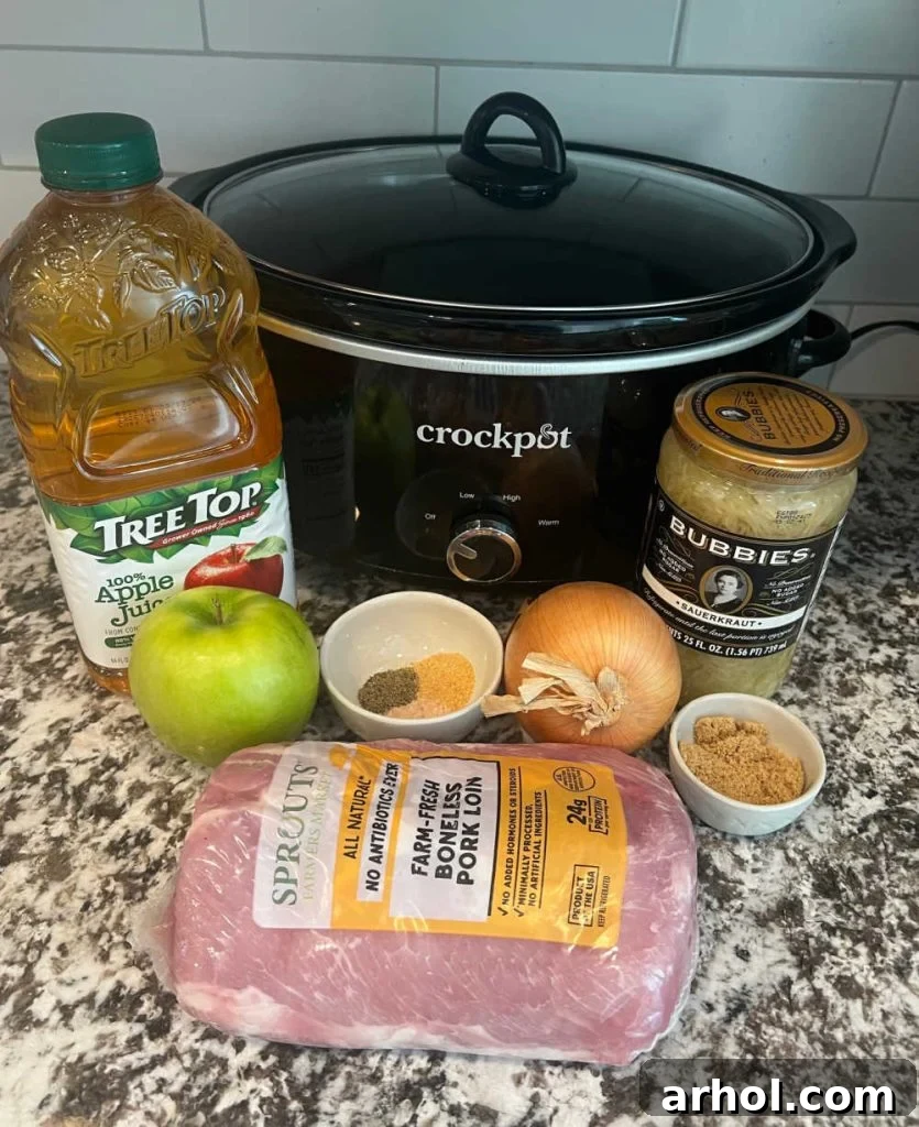 Ingredients for slow cooker pork and sauerkraut: pork loin, apple juice, sauerkraut, apple, onion, brown sugar, and seasonings.