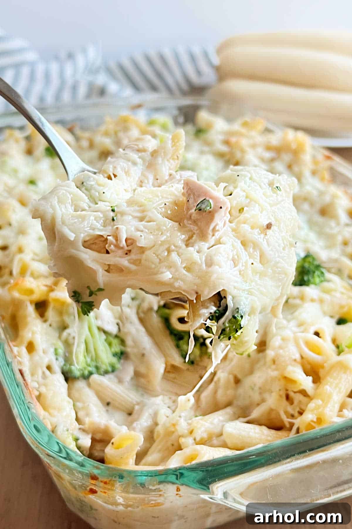 Creamy Chicken Broccoli Alfredo Casserole served on a spoon, showcasing melted cheese, tender chicken, and vibrant broccoli.