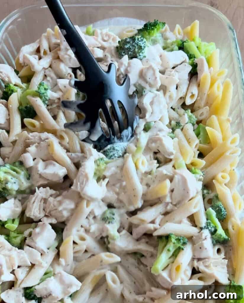 All the Chicken Broccoli Alfredo casserole ingredients – pasta, broccoli, chicken, and sauce – are mixed together in a baking dish, ready for the cheese topping.