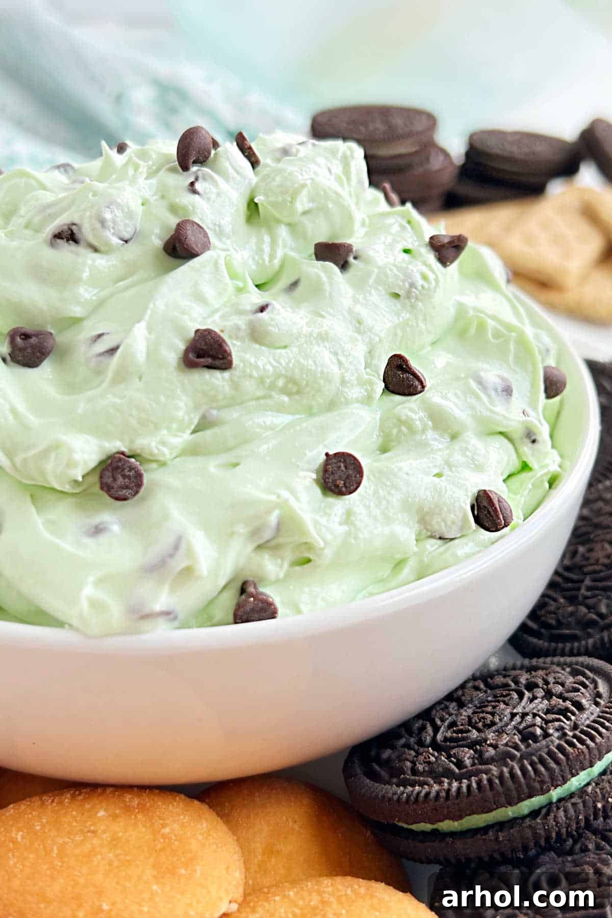 A beautifully presented white bowl filled with creamy mint chocolate chip dip, garnished with extra mini chocolate chips.