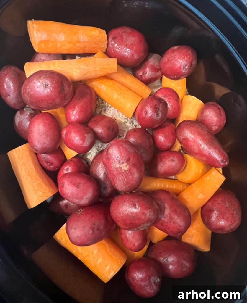 Flat cut corned beef in slow cooker with carrots and baby red potatoes on top.