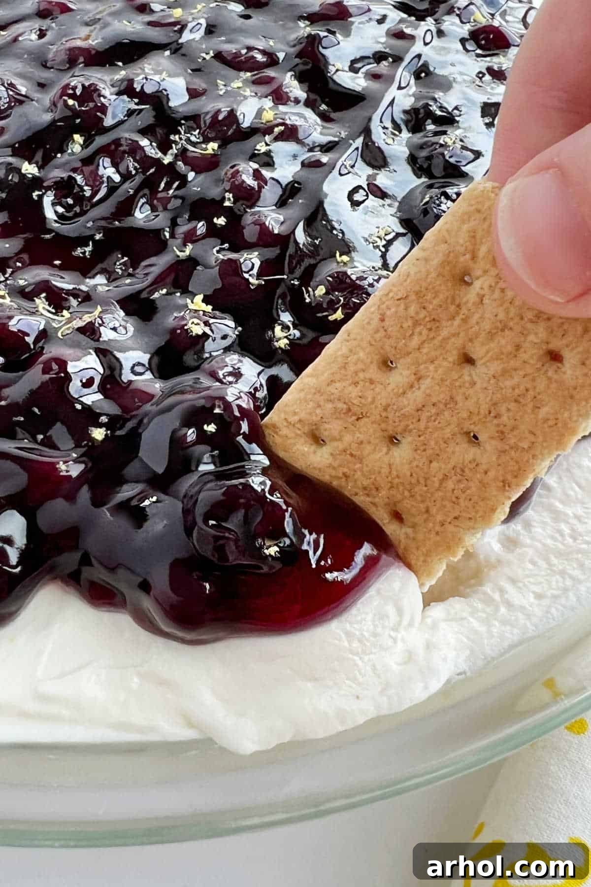 A graham cracker being dipped into a luscious Lemon Blueberry Cheesecake Dip, highlighting its creamy texture and fresh blueberry topping. Perfect for summer parties.