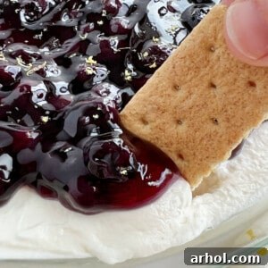 A graham cracker dipped into lemon blueberry cheesecake dip, showcasing the creamy dessert layers.