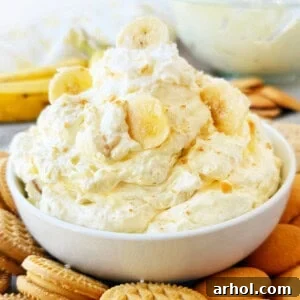A bowl of creamy banana pudding dip with whole and crushed Nilla wafers and banana slices, ready to be enjoyed.