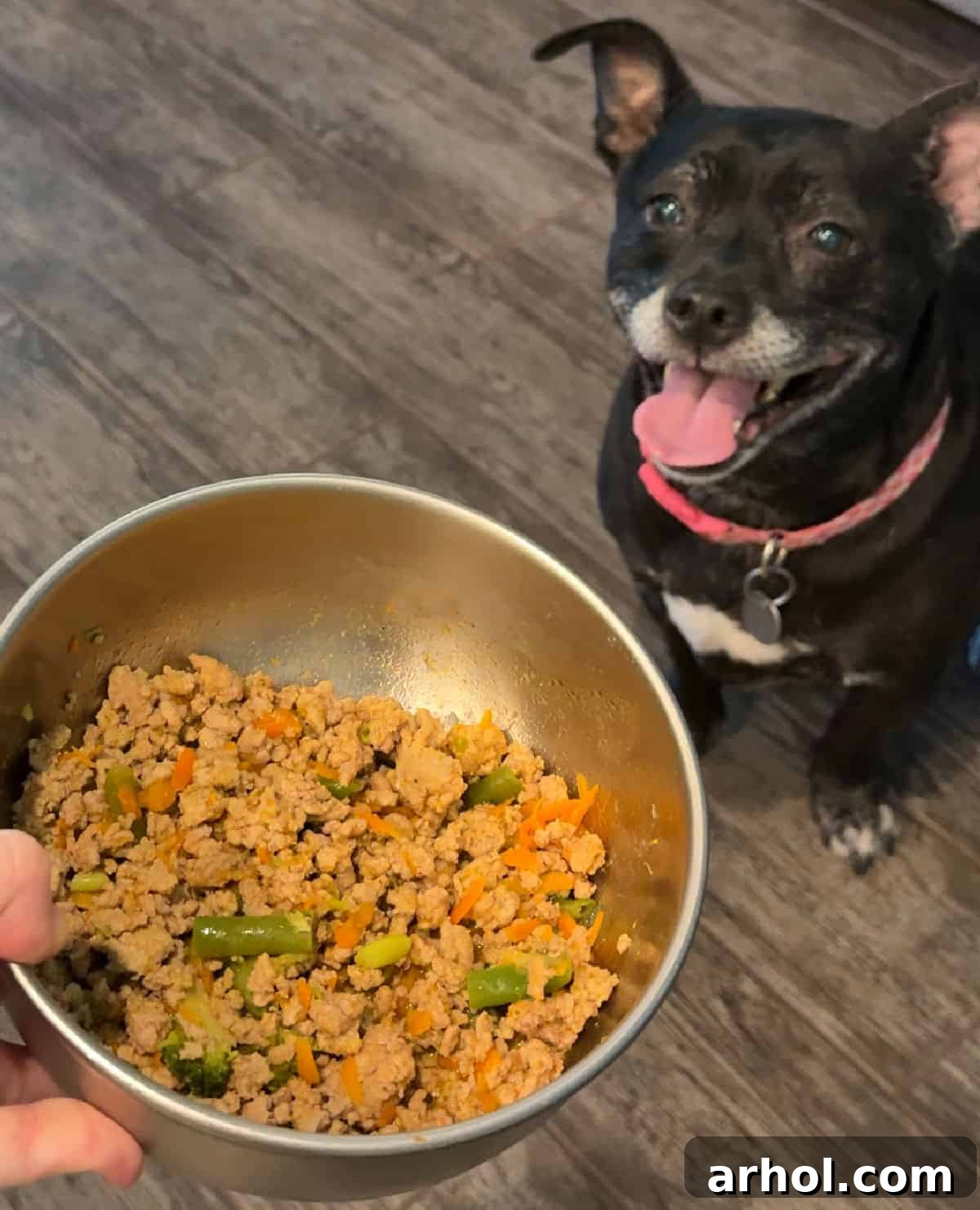A small black and white dog happily eating homemade dog food from a bowl.