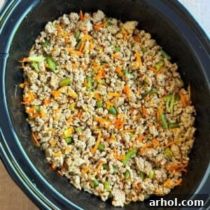 Homemade dog food in a crock pot, garnished with fresh herbs.