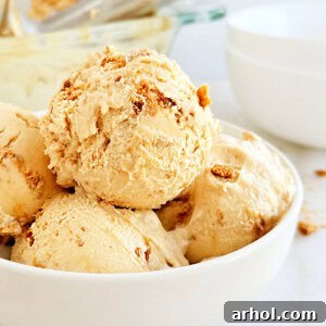 Scoops of homemade cookie butter ice cream in a bowl, with crushed cookies as garnish.
