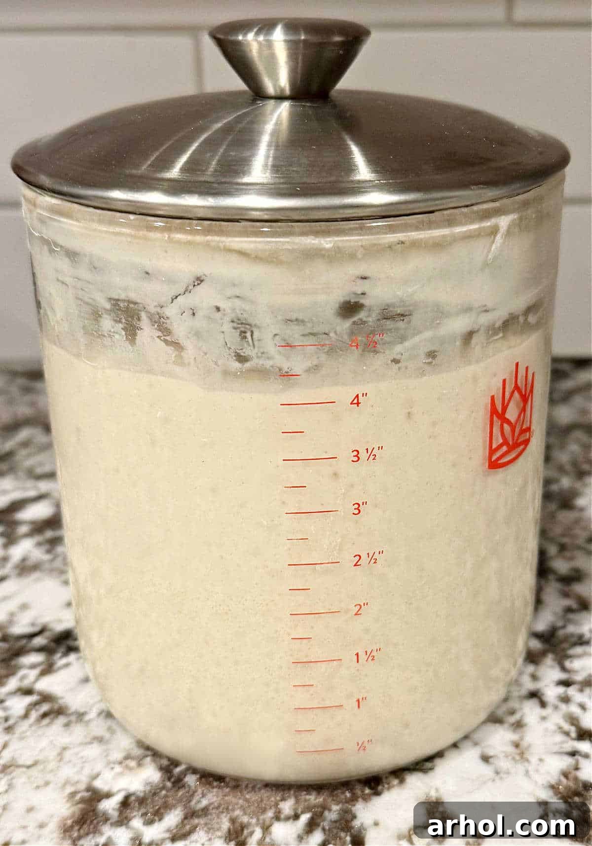 A healthy, fed, and active sourdough starter vigorously bubbling in a clear glass crock, ready for baking.