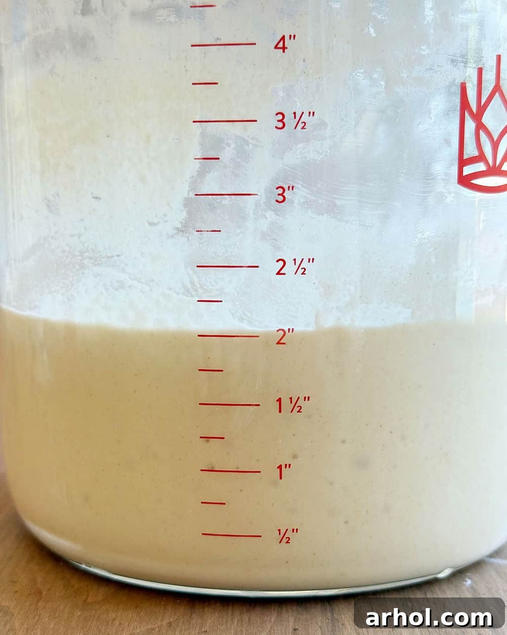 A freshly fed sourdough starter resting in the crock, ready to rise.