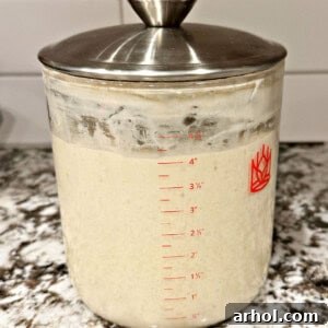 active sourdough starter in jar.