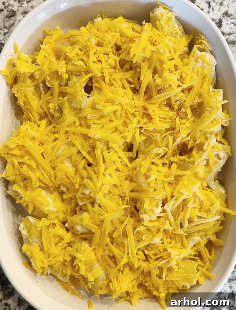 Pierogi stuffed shells generously topped with shredded cheddar cheese in a casserole dish
