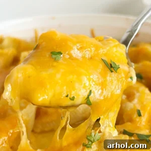 pierogi stuffed shells with cheddar cheese on a serving spoon