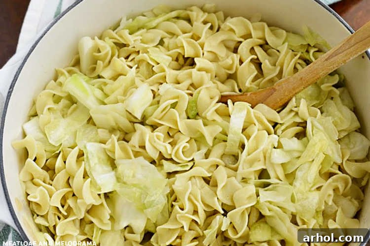 Tender egg noodles and fried cabbage mixed together in a large Dutch oven, ready for the final addition of kielbasa in the Haluski recipe.